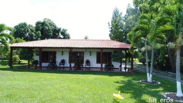 Fincas près de Cali : cinq communes, cinq climats et des prix de 250 000 à 900 000 COP